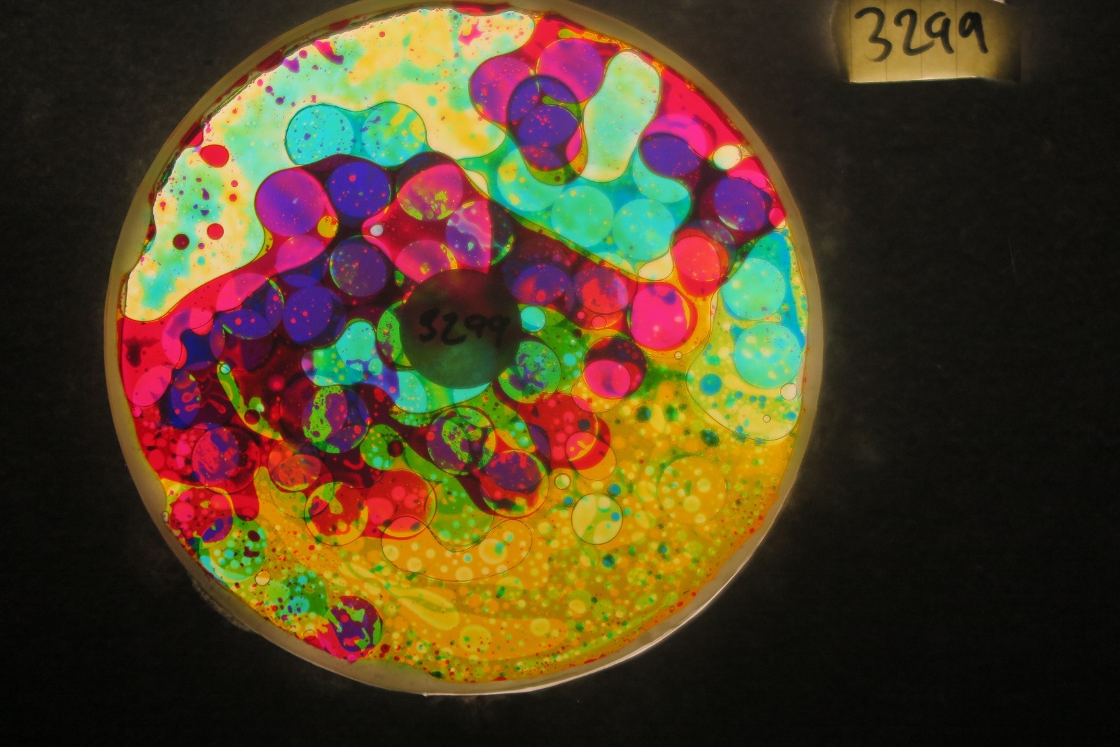 BV3299 bubble vision oil wheel